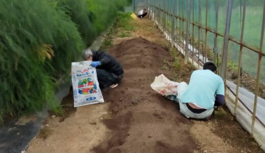 アスパラハウス除草作業